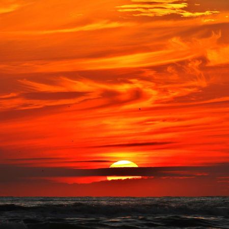 Ferienhaus Geniessen Am Meer Mit Wellnesszugang Egmond aan Zee Eksteriør billede